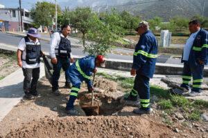 Reforesta San Pedro Parque La Retama en Vista Montaña